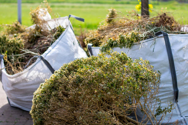 Best Yard Cleanup Services  in Frewsburg, NY